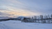 Senja Husky Adventure &ndash; &copy; Sinah Witzig (Eberhardt TRAVEL)