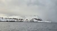 Fjordsafari &ndash; &copy; Sinah Witzig (Eberhardt TRAVEL)