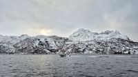 Fjordsafari &ndash; &copy; Sinah Witzig (Eberhardt TRAVEL)