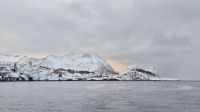 Fjordsafari &ndash; &copy; Sinah Witzig (Eberhardt TRAVEL)