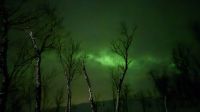Polarlichter