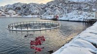 Floating im Fjord &ndash; &copy; Sinah Witzig (Eberhardt TRAVEL)