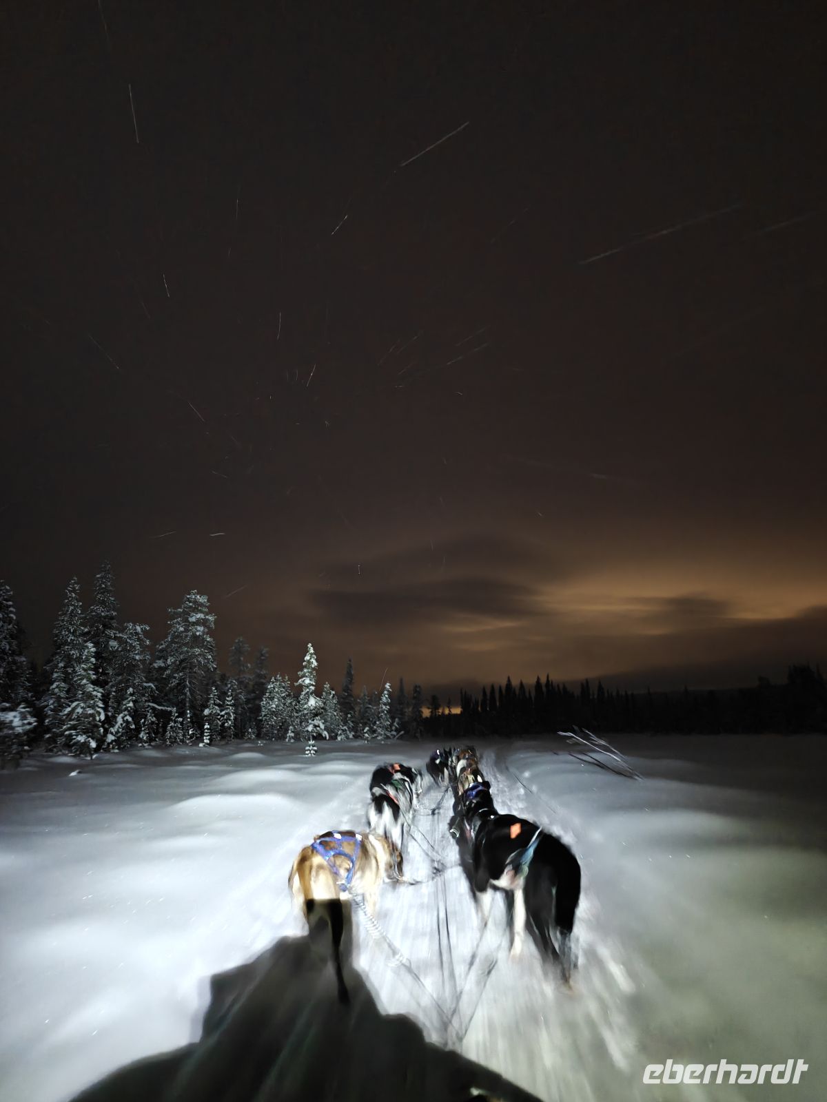 Huskyschlitten-Fahrt &ndash; &copy; Sinah Witzig (Eberhardt TRAVEL)