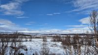 Dovrefjell &ndash; &copy; Sinah Witzig (Eberhardt TRAVEL)