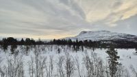 Mit der Nordlandsbahn nach Bodø &ndash; &copy; Sinah Witzig (Eberhardt TRAVEL)