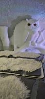 Zimmer im Schneehotel &ndash; &copy; Ria Heilmann (Eberhardt TRAVEL)