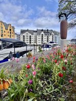 Kreuzfahrt Norwegen- Ålesund &ndash; &copy; Heike Wagner (Eberhardt TRAVEL)