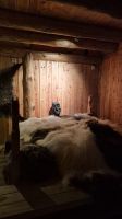 Sandnessjøen: Torolvstein Wikinger Langhaus