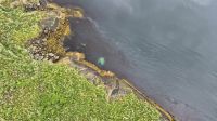Saltstraumen &ndash; &copy; Sinah Witzig (Eberhardt TRAVEL)