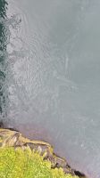 Saltstraumen &ndash; &copy; Sinah Witzig (Eberhardt TRAVEL)