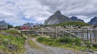 Reine