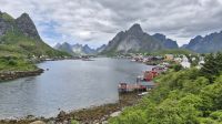 Reine