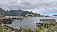 Reine