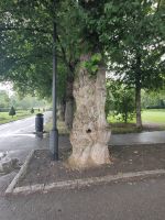 Nicht von Vigeland gemacht, aber passt auch dazu..... &ndash; &copy; Marta Rass (Eberhardt TRAVEL)
