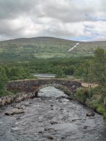 Dovrefjell Idylle
