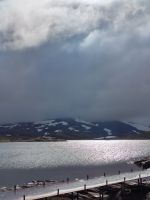 die Strasse über Sognefjell - oberhalb von 1000 m ums &ndash; &copy; Marta Rass (Eberhardt TRAVEL)
