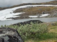 karg aber wunderschön &ndash; &copy; Marta Rass (Eberhardt TRAVEL)