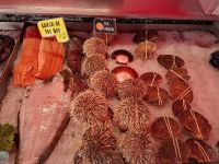 Bergen (Fischmarkt)