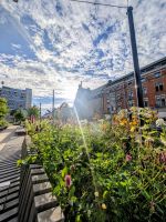 Blumenarrangements in Luleå &ndash; &copy; Marlies Krause (Eberhardt TRAVEL)