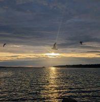 Abendstimmung in Luleå &ndash; &copy; Marlies Krause (Eberhardt TRAVEL)