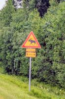 Aber wo sind sie nur gewesen?! &ndash; &copy; Marlies Krause (Eberhardt TRAVEL)