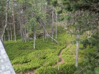 herrliche Natur &ndash; &copy; Marlies Krause (Eberhardt TRAVEL)
