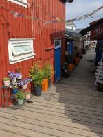 Henningsvær &ndash; &copy; Marlies Krause (Eberhardt TRAVEL)
