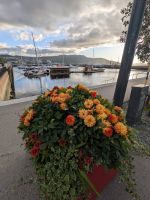 Trondheim, Blick auf Trondheimfjord &ndash; &copy; Marlies Krause (Eberhardt TRAVEL)