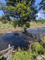 herrliche Natur &ndash; &copy; Marlies Krause (Eberhardt TRAVEL)