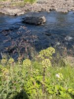 herrliche Natur &ndash; &copy; Marlies Krause (Eberhardt TRAVEL)