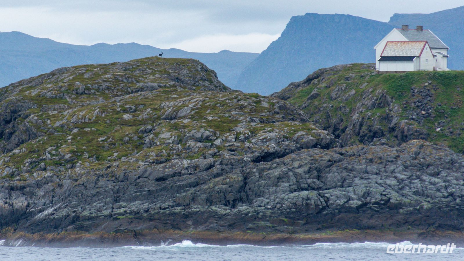 Insel Magerøya - Helnes fyr mit Rentier &ndash; &copy; Martin Büchner (Eberhardt TRAVEL)