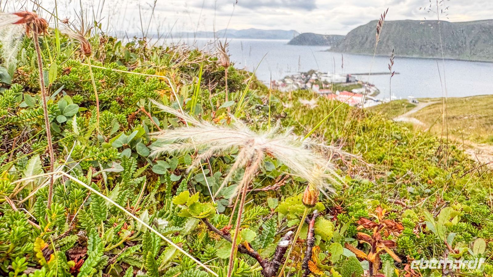 Insel Magerøya - Honningsvåg &ndash; &copy; Martin Büchner (Eberhardt TRAVEL)