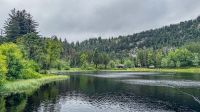 Bergen - Hausberg Fløyen &ndash; &copy; Martin Büchner (Eberhardt TRAVEL)