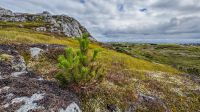Helgelandskyste - Helgelandsküste - Insel Træna &ndash; &copy; Martin Büchner (Eberhardt TRAVEL)