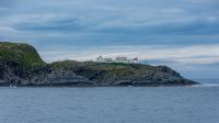 Insel Magerøya - Helnes fyr mit Rentier &ndash; &copy; Martin Büchner (Eberhardt TRAVEL)