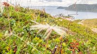 Insel Magerøya - Honningsvåg &ndash; &copy; Martin Büchner (Eberhardt TRAVEL)