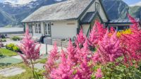Urke im Norangsfjord (Hjørundfjord)