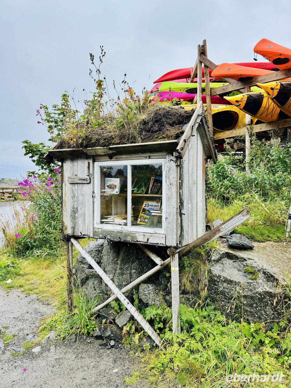 5. Tag - Kleine Bücherei in Reine, Lofoten  &ndash; &copy; Christin Kuschka (Eberhardt TRAVEL)