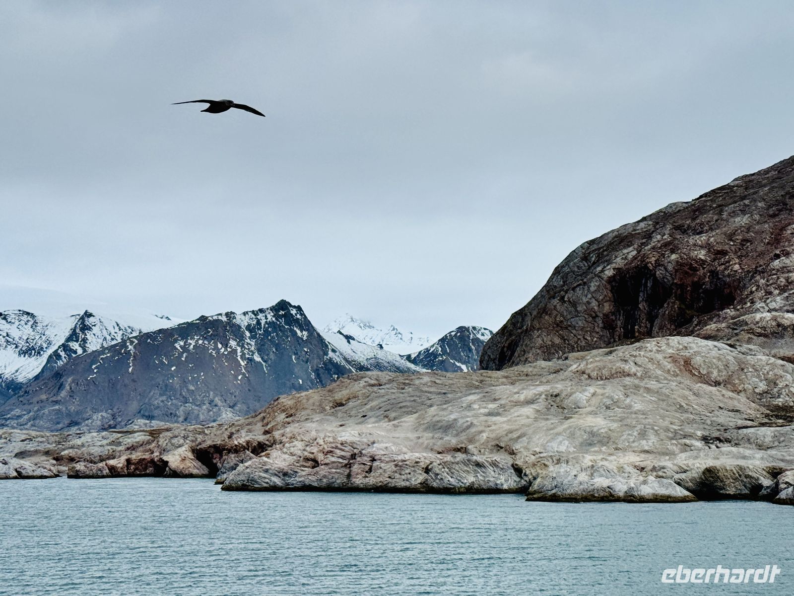 10. Tag - Kongsfjord, Spitzbergen &ndash; &copy; Christin Kuschka (Eberhardt TRAVEL)