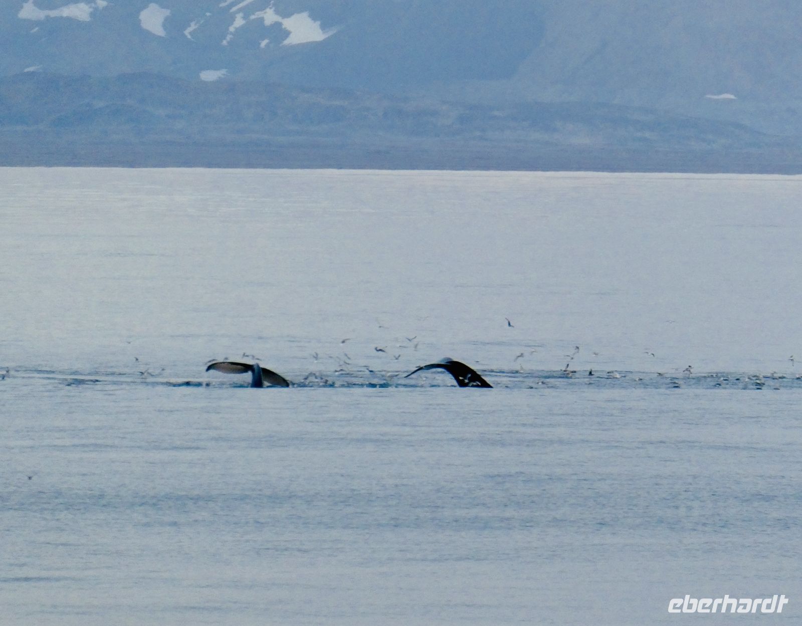10. Tag - Wale &ndash; &copy; Christin Kuschka (Eberhardt TRAVEL)