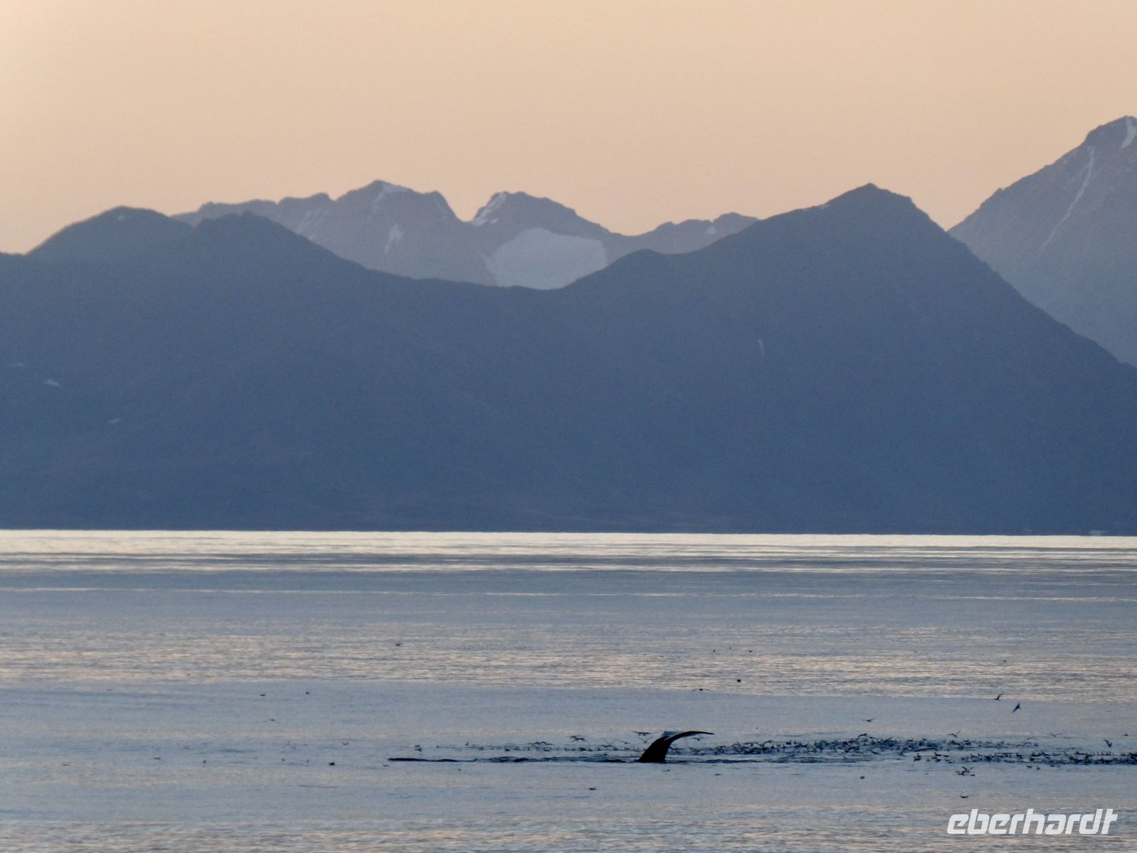 10. Tag - Wale &ndash; &copy; Christin Kuschka (Eberhardt TRAVEL)