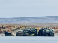 8. Tag - Bäreninsel &ndash; &copy; Christin Kuschka (Eberhardt TRAVEL)