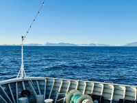 8. Tag - Spitzbergen in Sicht &ndash; &copy; Christin Kuschka (Eberhardt TRAVEL)
