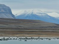 9. Tag - Spitzbergen &ndash; &copy; Christin Kuschka (Eberhardt TRAVEL)