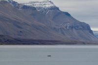 9. Tag - Wal im Isfjord, Spitzbergen &ndash; &copy; Christin Kuschka (Eberhardt TRAVEL)