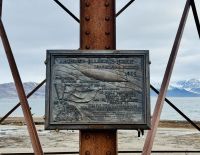 10. Tag - Amundsen-Turm, Ny-Ålesund &ndash; &copy; Christin Kuschka (Eberhardt TRAVEL)