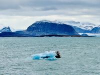 10. Tag - Kongsfjord, Spitzbergen &ndash; &copy; Christin Kuschka (Eberhardt TRAVEL)