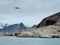 10. Tag - Kongsfjord, Spitzbergen &ndash; &copy; Christin Kuschka (Eberhardt TRAVEL)