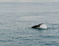 10. Tag - Wale &ndash; &copy; Christin Kuschka (Eberhardt TRAVEL)