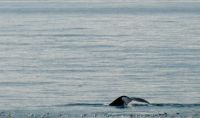 10. Tag - Wale &ndash; &copy; Christin Kuschka (Eberhardt TRAVEL)
